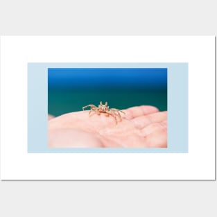 Little crab on human hand against blue sky and green ocean Posters and Art